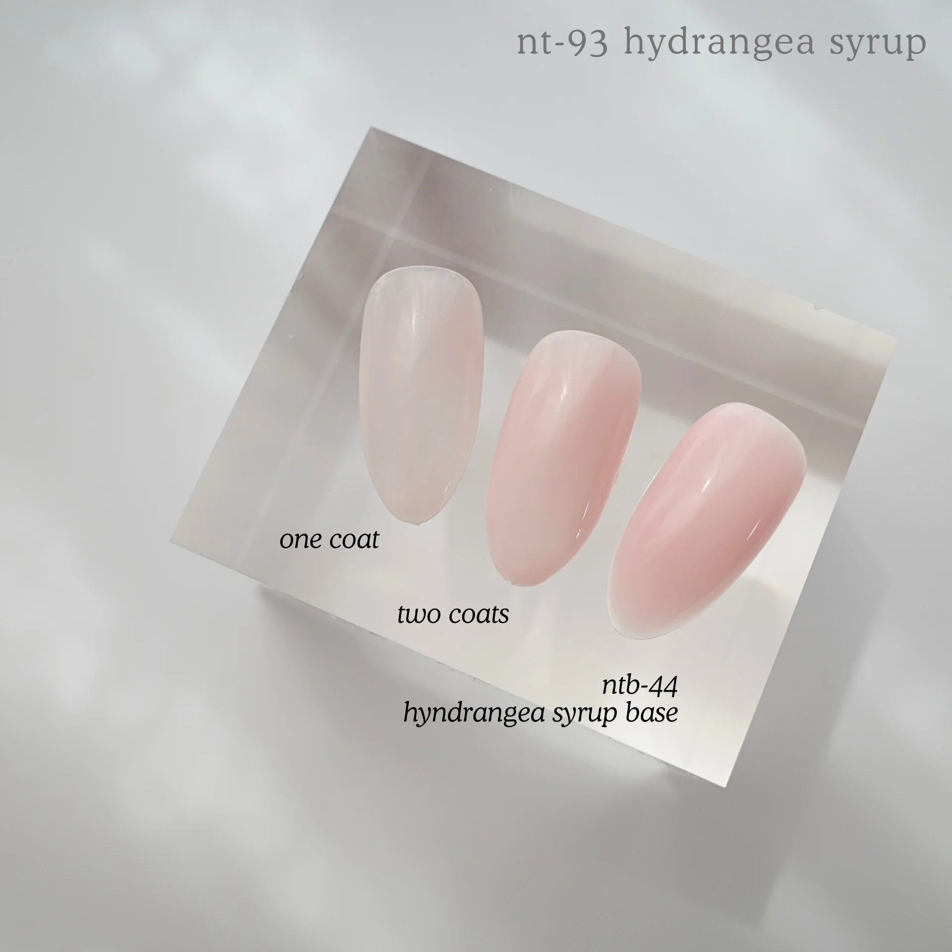 NTB-R44 HYDRANGEA SYRUP BASE 50G - Image 2