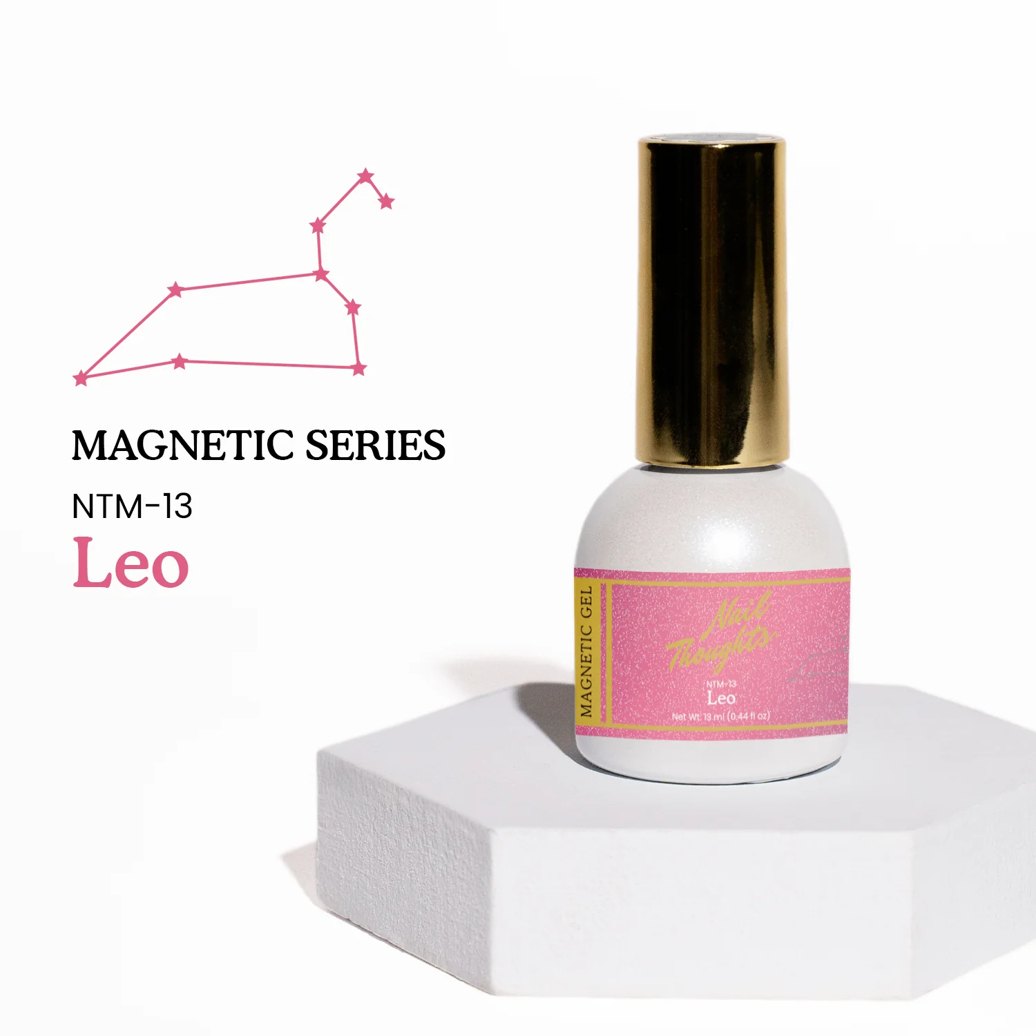 NTM-13 Leo