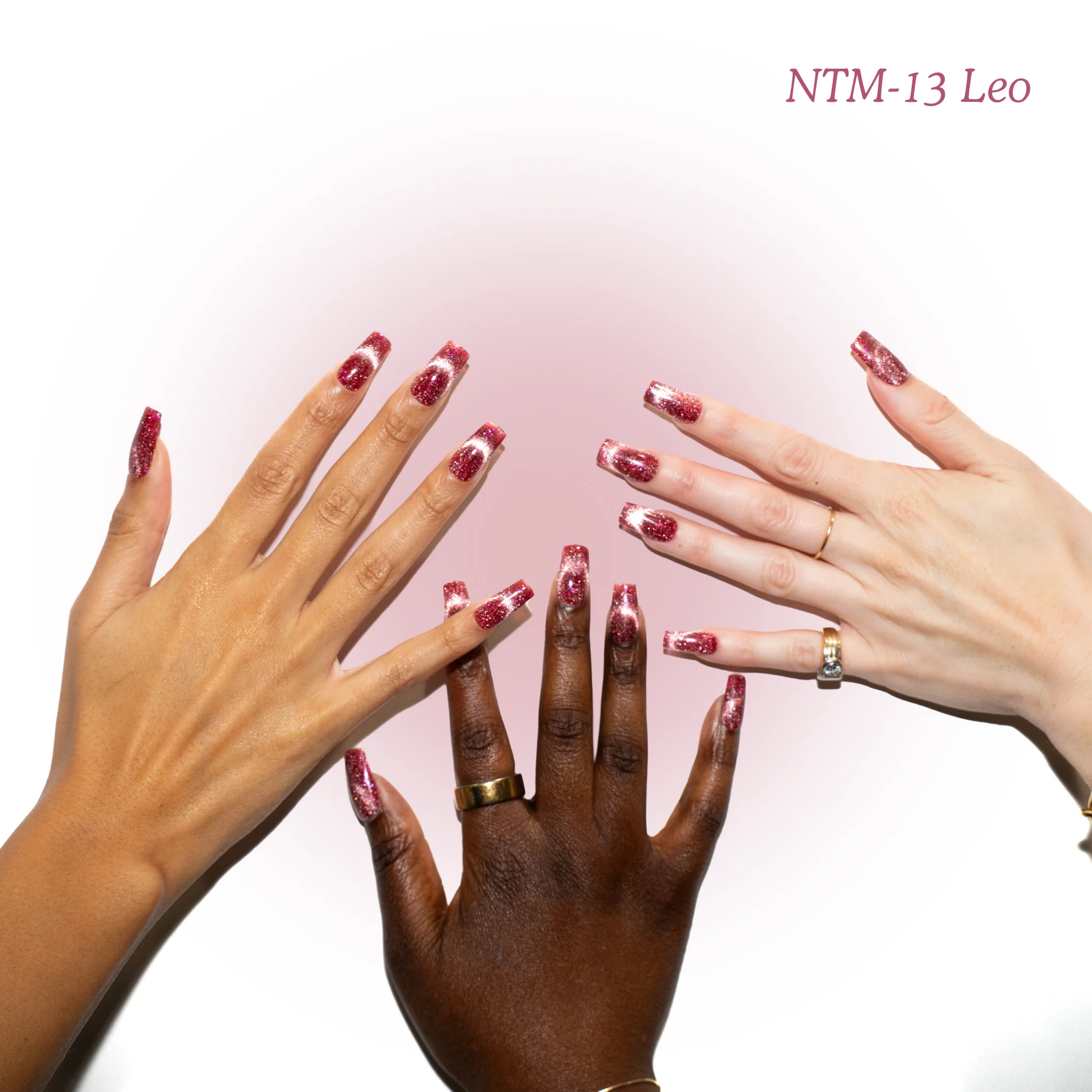 NTM-13 Leo - Image 2