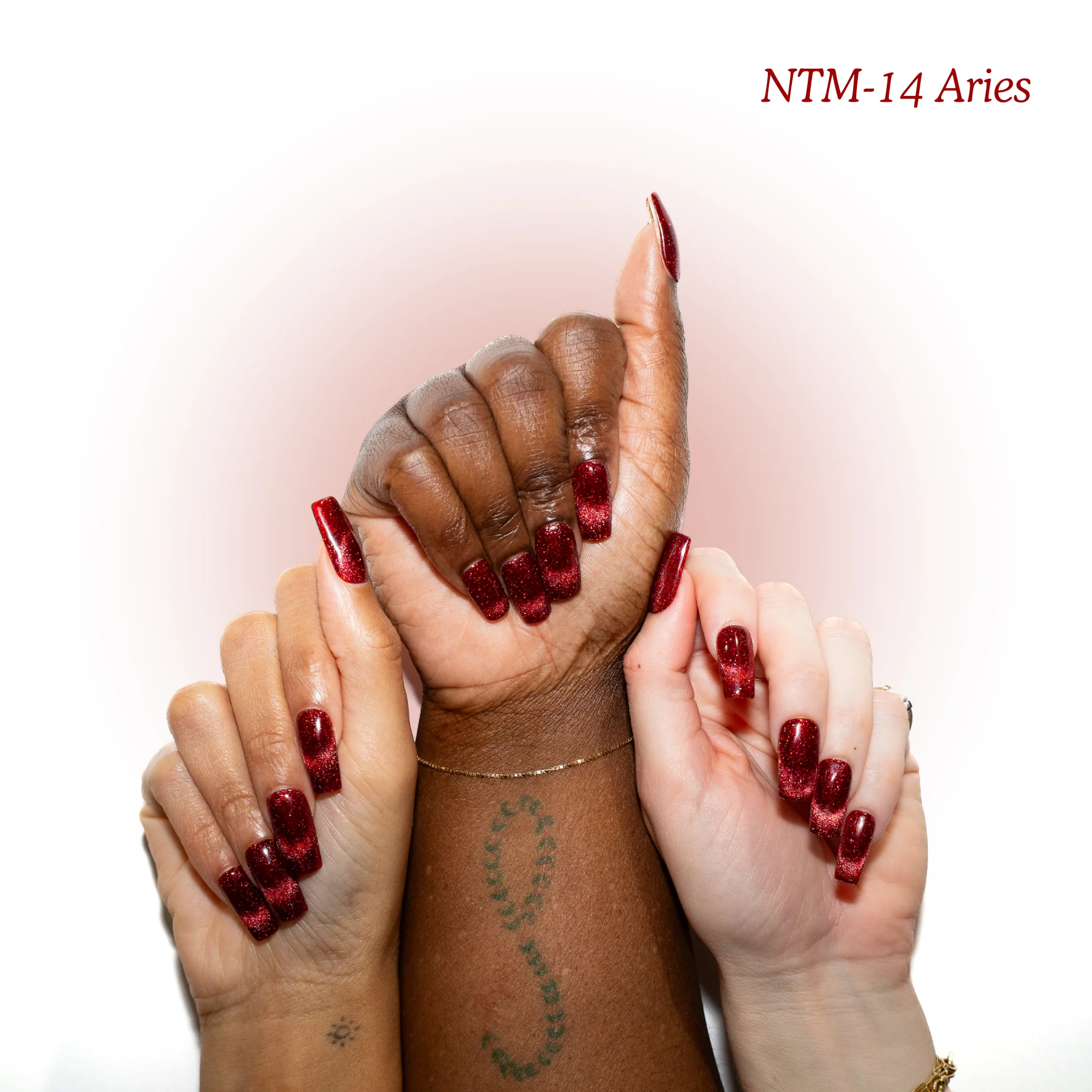 NTM-14 Aries - Image 2