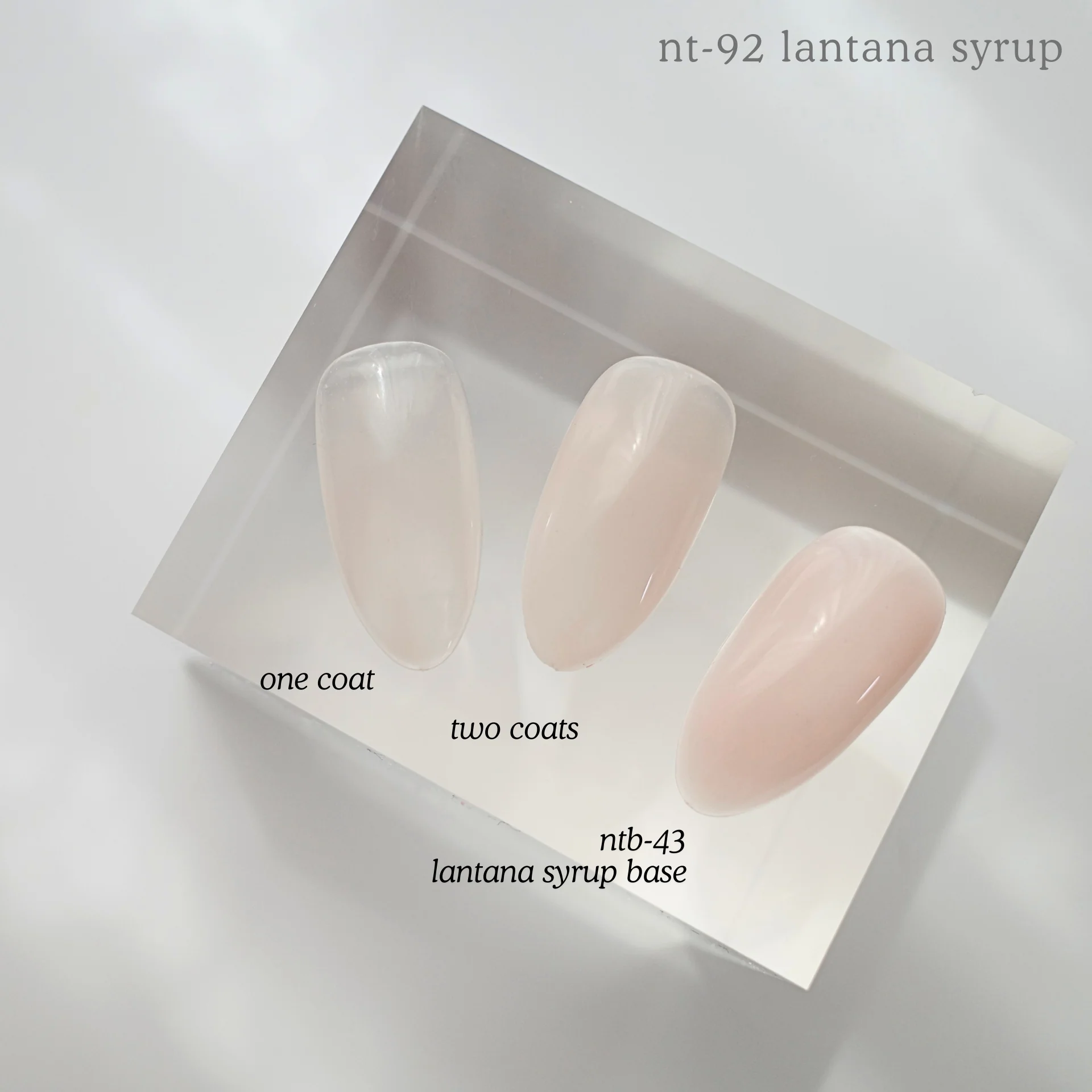NT-92 Lantana Syrup - Image 2